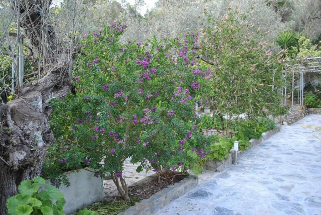 Stelios Studios Megali Ammos  Luaran gambar
